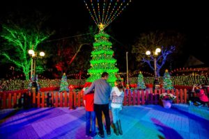 Family enjoying an illuminated Christmas tree and gardens in Orlando.