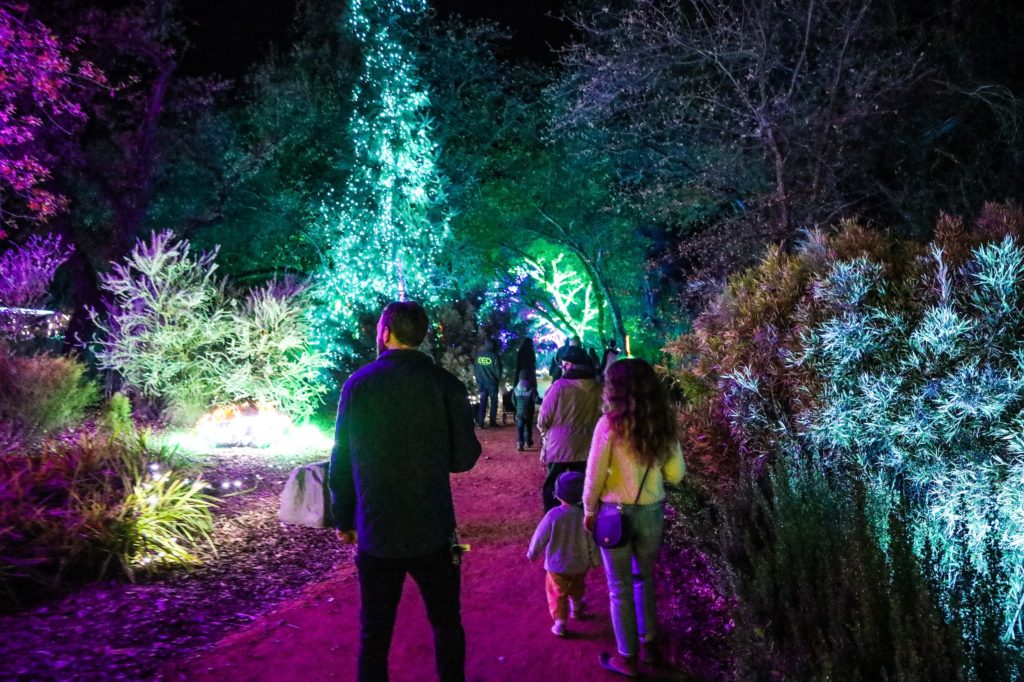 Illuminated walkway with tourists watching lights at botanical garden in Redding, California