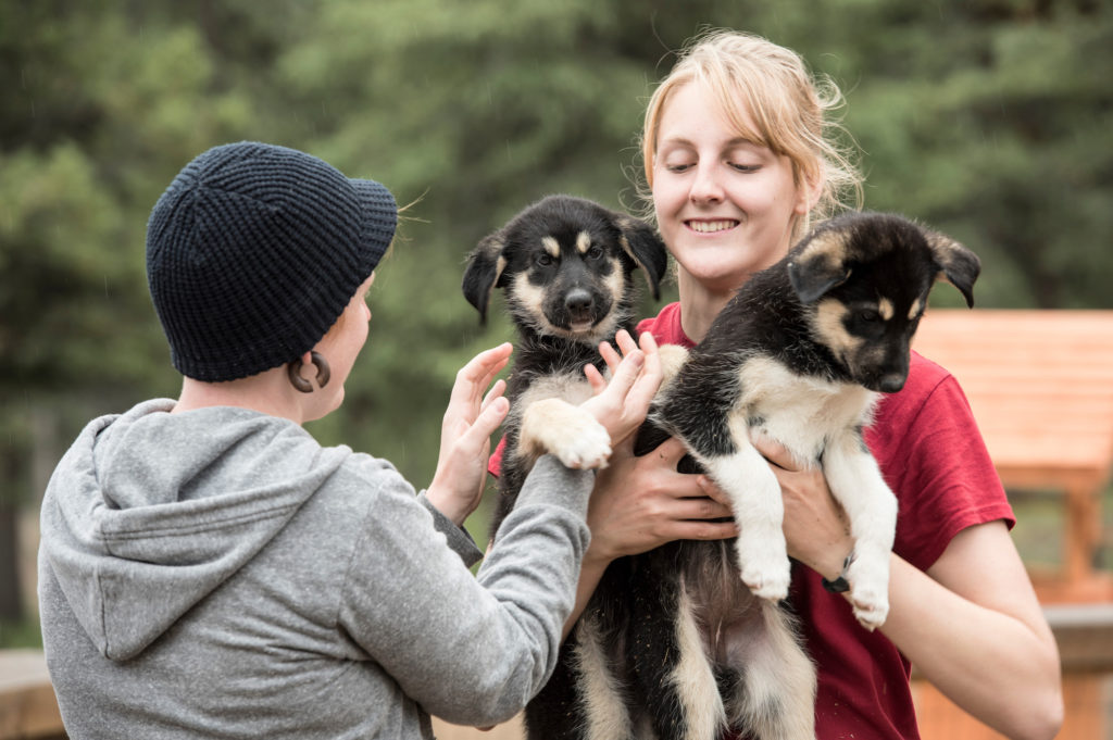 A woman holds sled dog puppies on a shore excursion with Princess Cruises in Alaska.