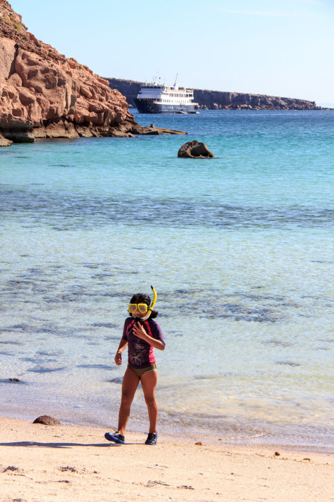 Girl in snorkel mask walks on the beach of Baja California Sur peninsula with Uncruise ship at sea, in the background.