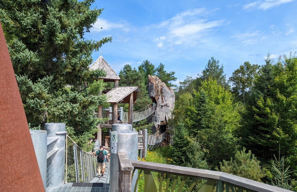 The Wild Walk at The Wild Center in Tupper Lake encourages families to get up close with nature and the natural sciences on a fun adventure in the sky.