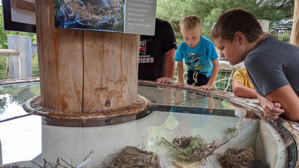 Kids at The Wild Walk at The Wild Center in Tupper Lake look at nature exhibits for all ages.