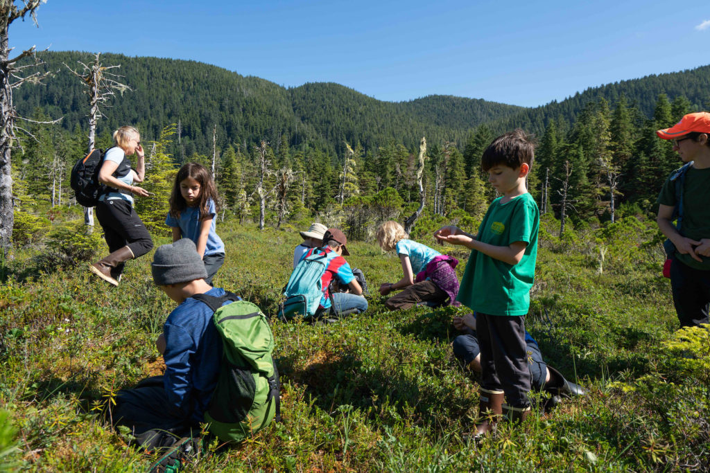 Group of kids picking berries in a field at teh edge of a forest in Alaska. - summer trip ideas
