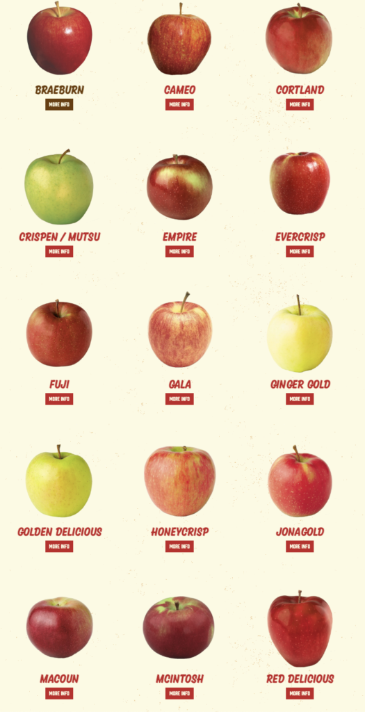 15 varieties of apples you can pick yourself in Harvard, Mass. Chart c. Carlson's Farm.