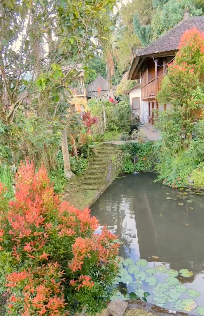 Puri Lumbung gives kids on Bali lots to explore as you can see from the window of our rice paddy cottage in Munduk.