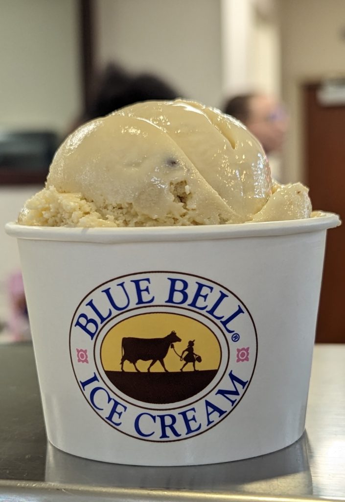 A heaping scoop of Chocolate Chip Cookie Dough ice cream, the author's favorite!