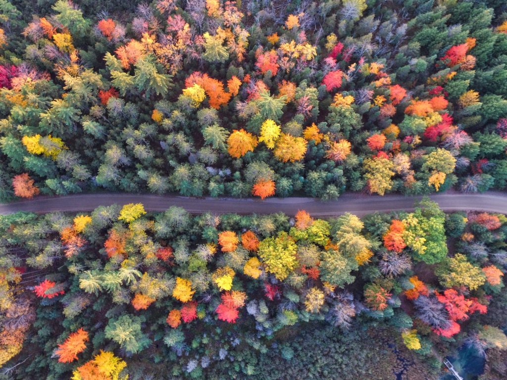 Aerial view of fall foliage alongside a country highway. Photo c. Aaron Burden for Unsplash.