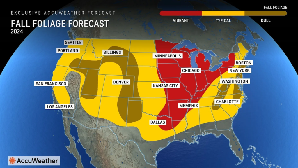 Accuweather Fall Foliage Forecast chart for 2024.