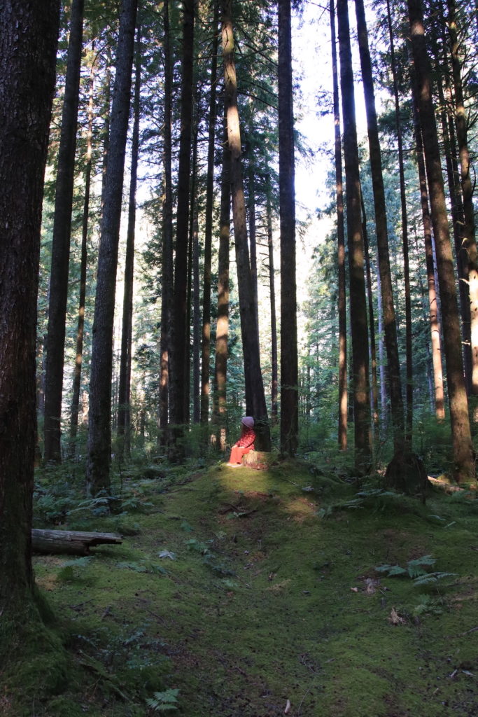 Girl sits on rock in forest of tall trees.