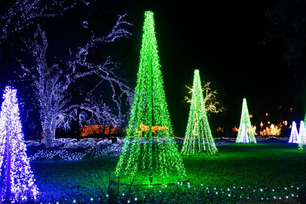 The Redding Garden of Lights transforms this northern California town's botanical gardens into a holiday wonderland. Photo by Seth McGaha