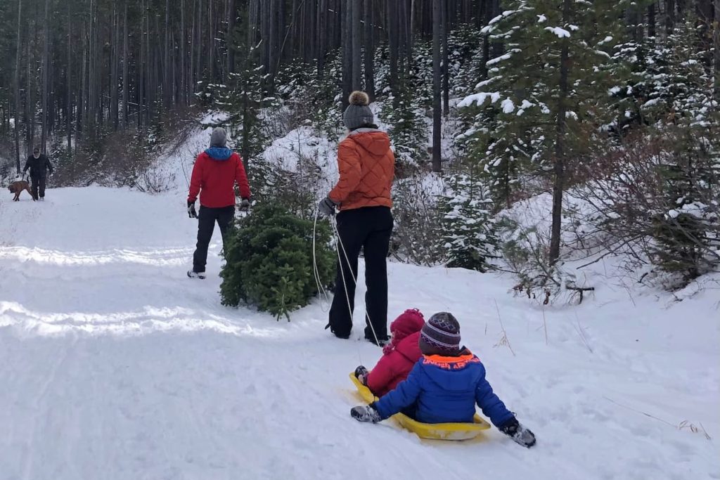 Family harvests a real tree at the Custer-Gallatin National Forest. photo c. Recreation.gov