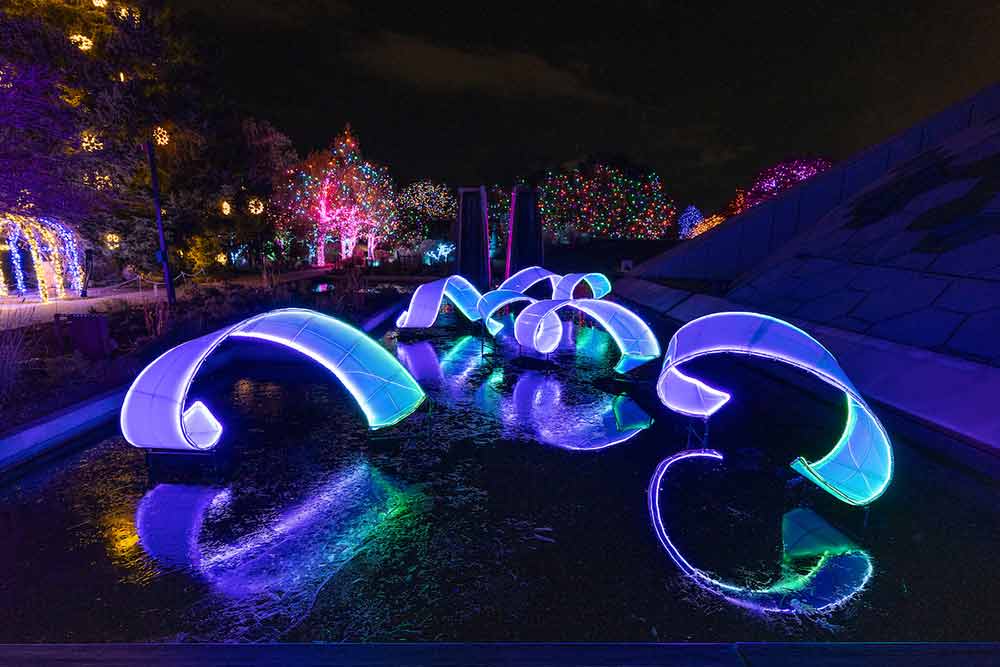 Glittering trres and ribbon sculptures star at Blossoms of Light in Denver, Colorado.