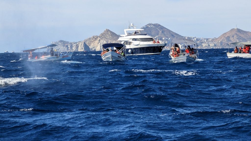 A whale breaches the surface off Cabo San Lucas as whale-watching boats stand by.