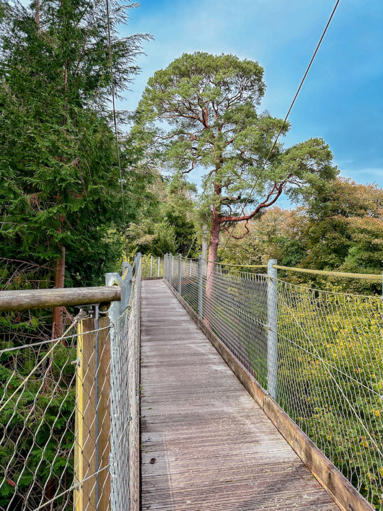 Try the Lough Key canopy walk with family members in Lough Key Forest, Ireland.
