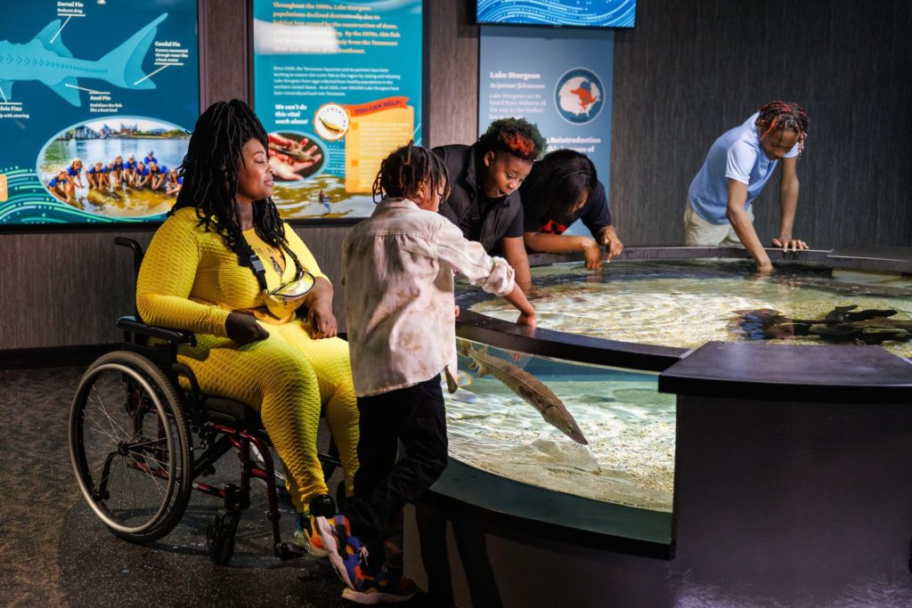 Woman in wheelchair and children look at the Ridges to Rivers exhibit at the Tennessee Aqaurium in Chatanooga. Photo c. Tennessee Aquarium
