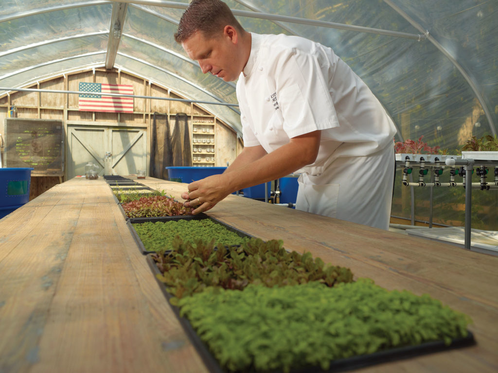Chef Daven Wardynski at the Sprouting Project greenhouse, Amelia Island.