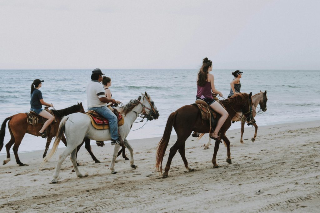 Horseback tour along a beach by the sea. Photo c. Bianca Bianeyre for pexels.