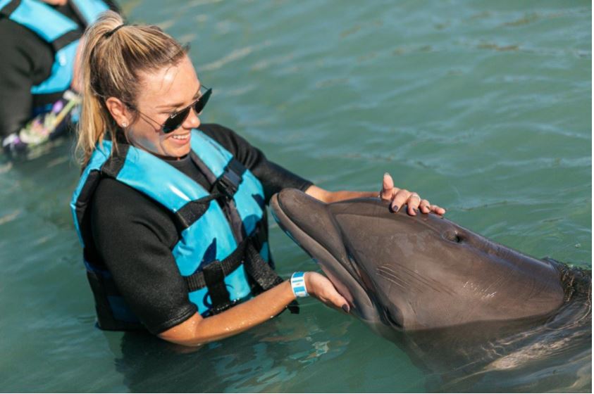 dolphin activities at Hawk Cay’s