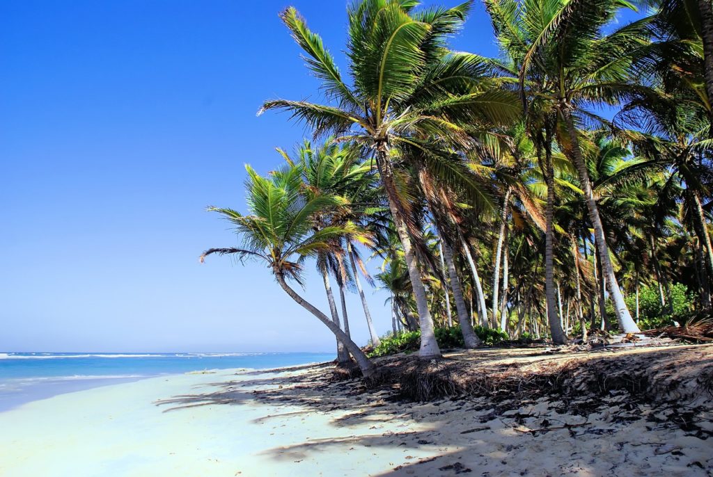 One of the Dominican Republic's beautiful beaches. Photo c. Dezalb for pixabay.