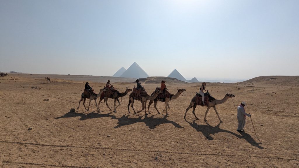 Guide leads a camel caravan across Egypt's Sahara Desert with the Pyramids of Giza seen in the distance.