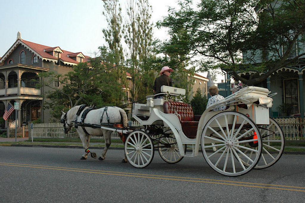 Visitors enjoy touring the historic Victorian architecture of Cape May by horse-drawn carriage with Cape May Carriage Company.