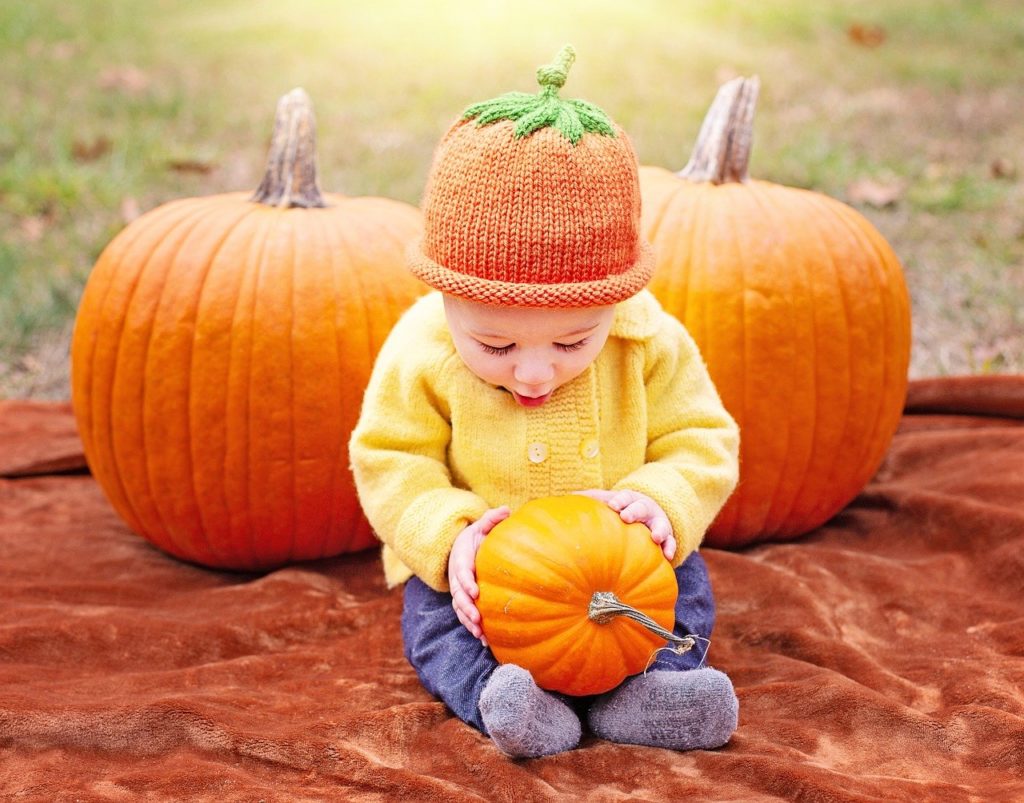 Baby boy looks at pumpkin in his lap.