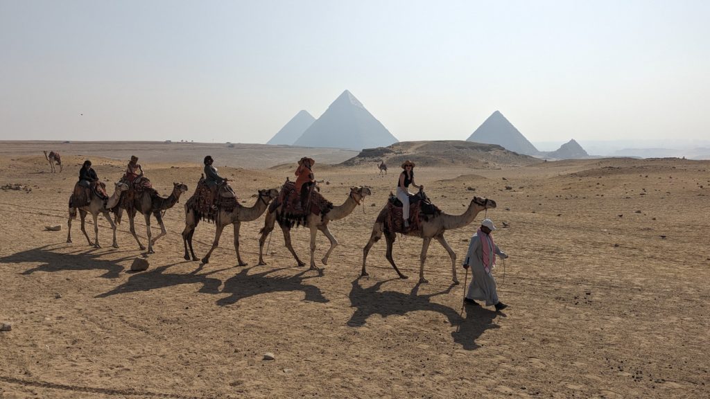 Tourists join a guided camel ride around the Great Pyramids of Giza.