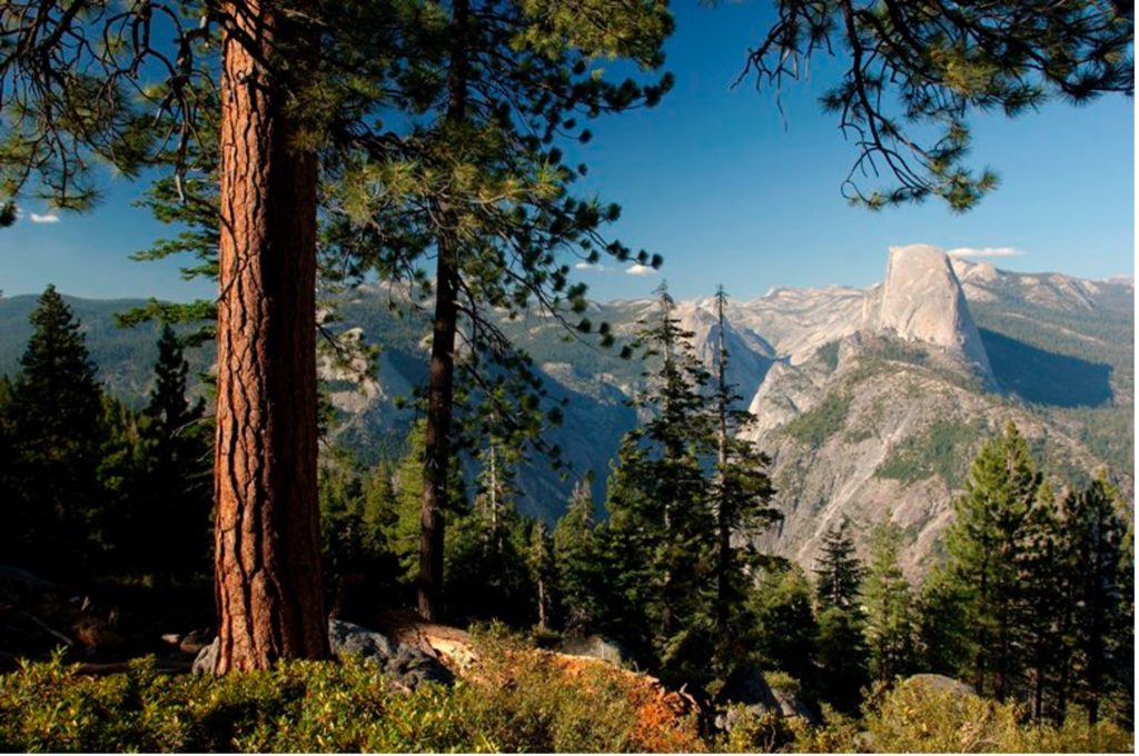 Yosemite Valley seen from Glacier Point. Photo c. Andy Yemma