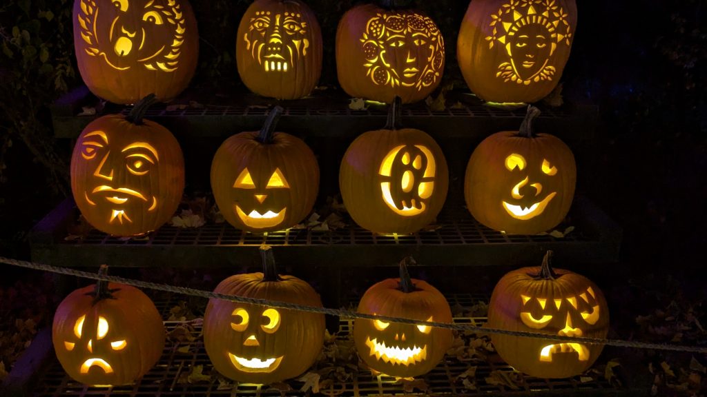 Carved pumpkins are part of the immersive gourd experience at the Great Jack-o-Lantern Blaze, the Hudson Valley's sellout family attraction.