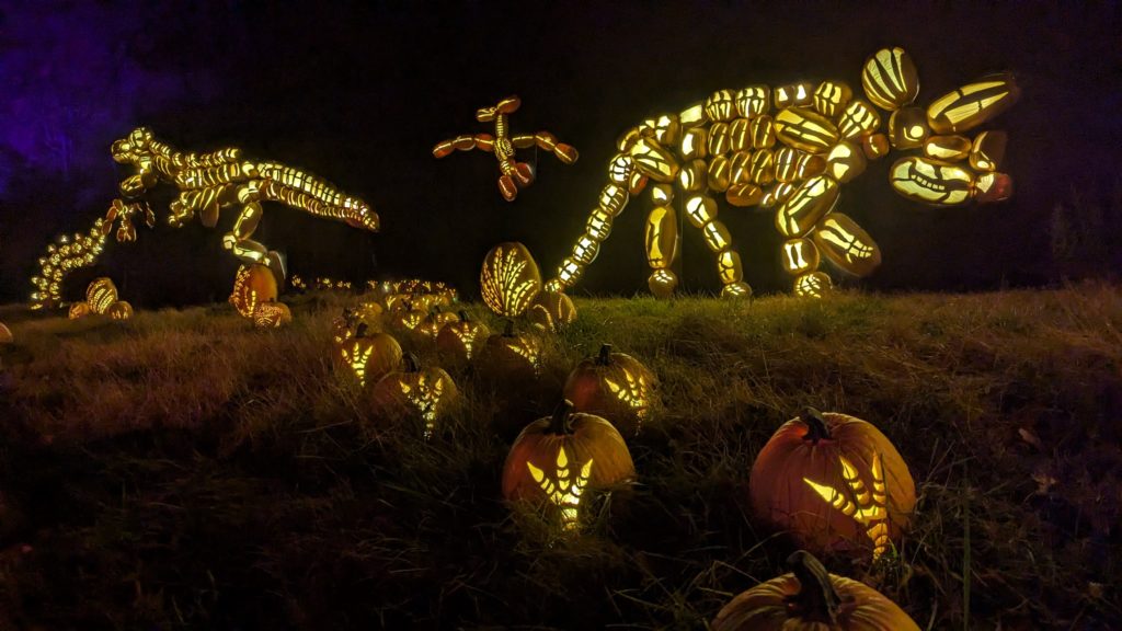 Pumpkins carved and assembled into a Jurassic era tableau were part of the 2024 Jack-o-Lantern Blaze at Van Cortlandt Manor in Westchester.