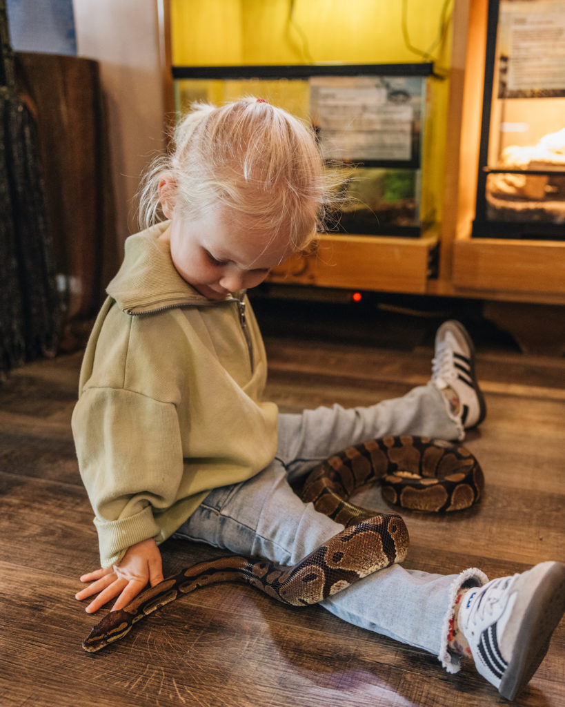 Kids can get up close and personal with local wildlife in a controlled way at the Agua Hedionda Discovery Center. Photo c. VisitCarlsbad