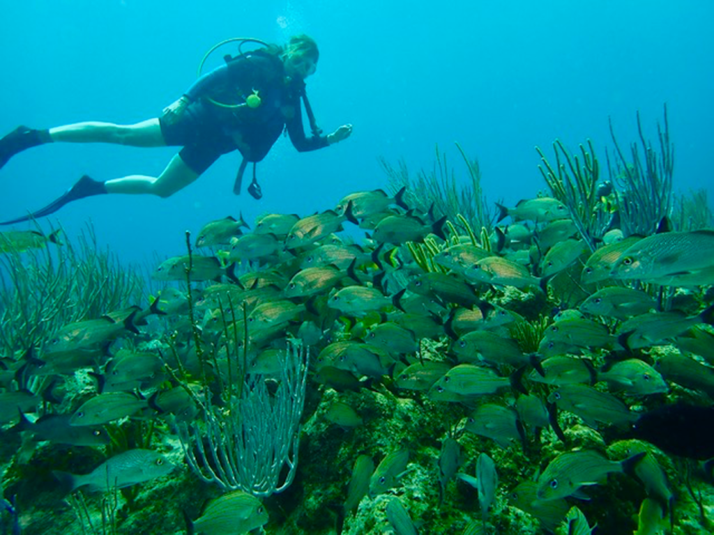 Checking out a school of fish off Grand Cayman Island. Photo c. Ashley Spencer.