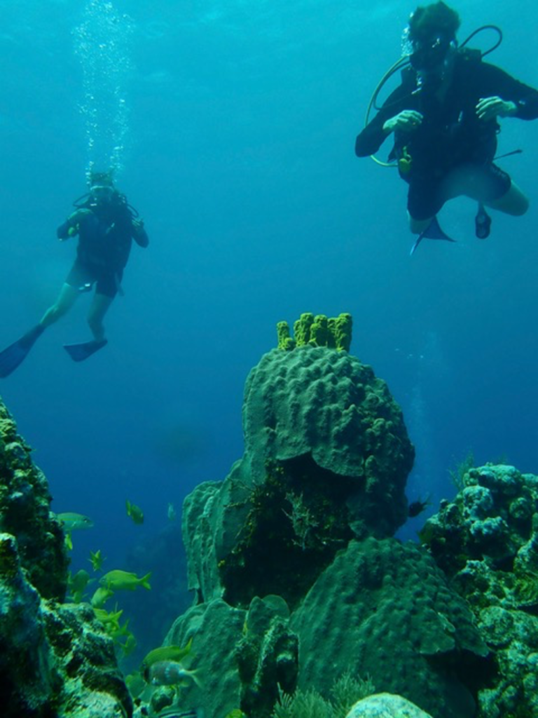 The best vacation with teens allows father and son to explore coral formations together. We're in Somosomo Strait, Fiji. Photo c. Ashley Spencer.