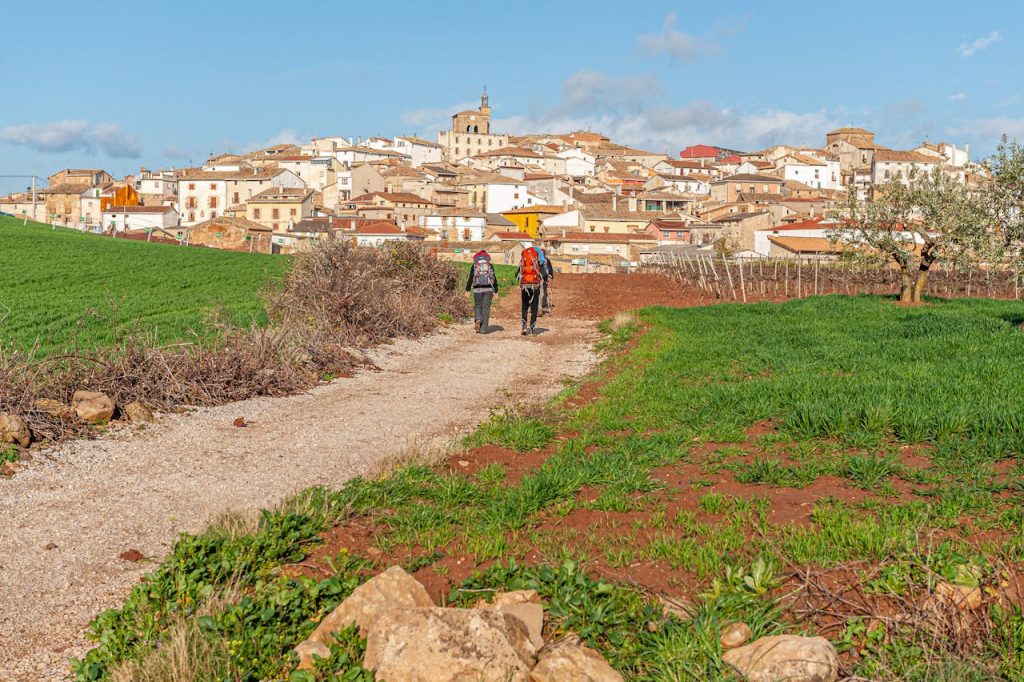 Hikers walking past olive trees and grapevines approach a Spanish village along the Camino. Photo by B. Meyendriesch for pexels