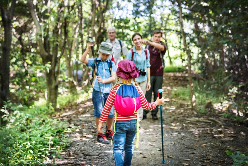 A family hikes together along a shady stretch of the Camino de Santiago in Spain.