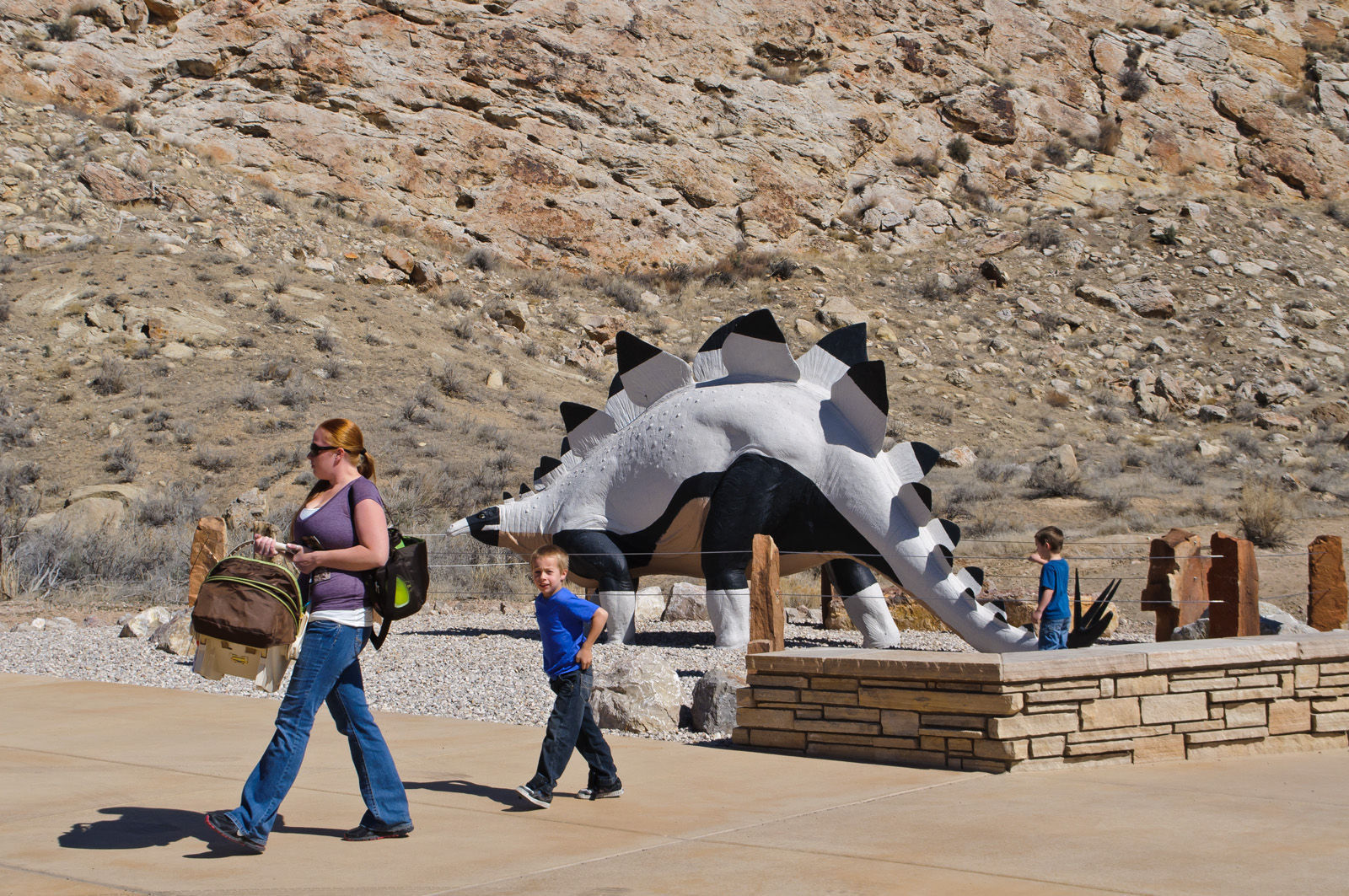 the dinosaur national monument