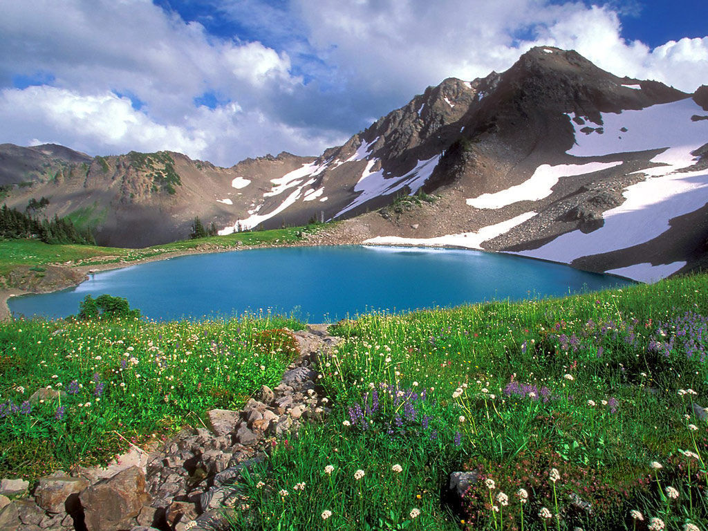 Olympic National Park, Washington