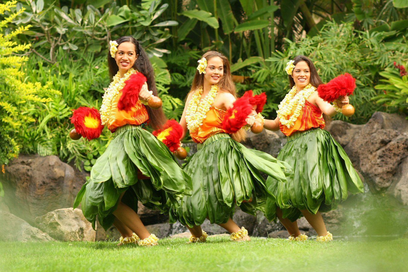 dance tour hawaii