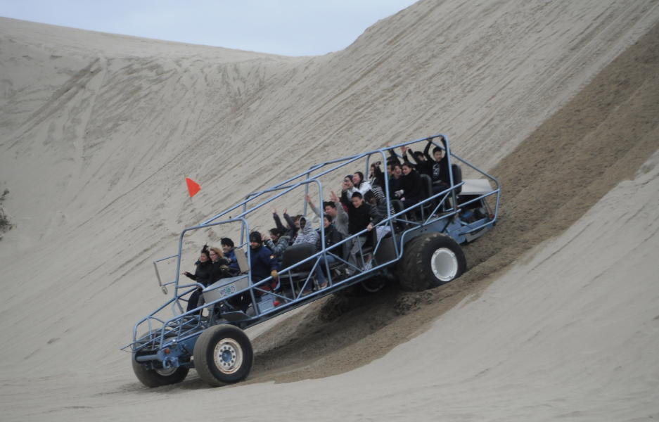 sand dune buggies