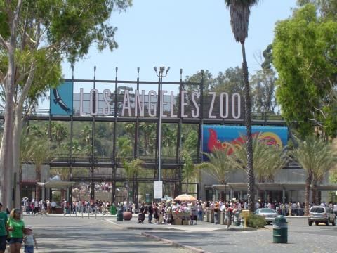 angeles los zoo botanical gardens california park area metropolitan wild entrance attractions elephant name there spotlights elephants challenges weekend face