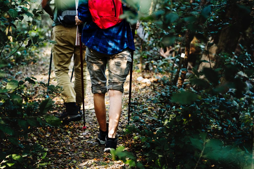 hiking in woods