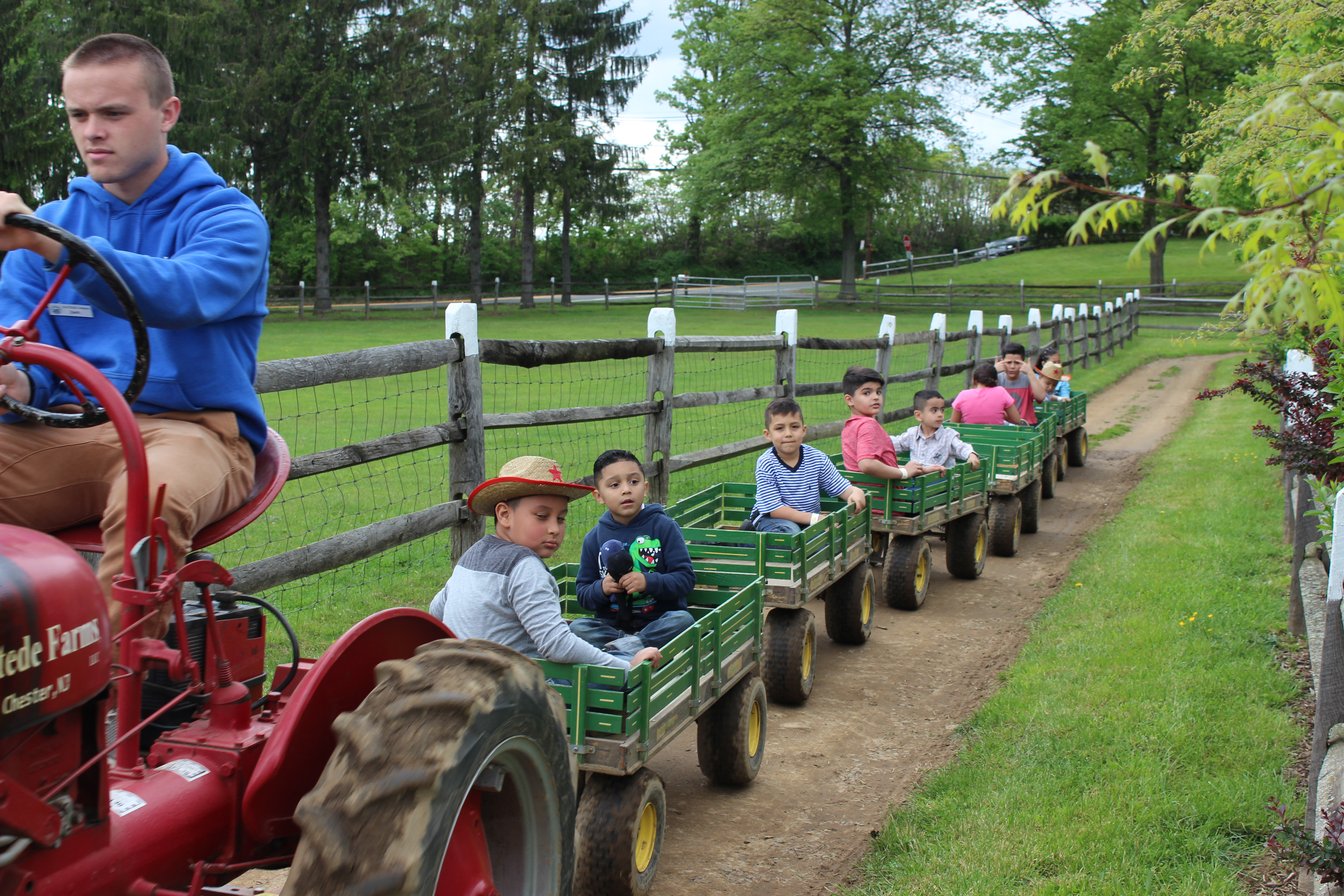 Tractor rides are very popular on U Pick weekends at Alstede Farms