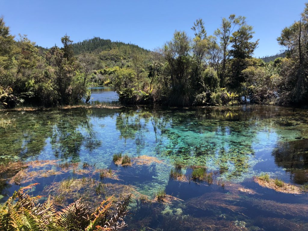 Hiking the gorgeous Te Pukatea track along the water in Abel Tasman National Park.