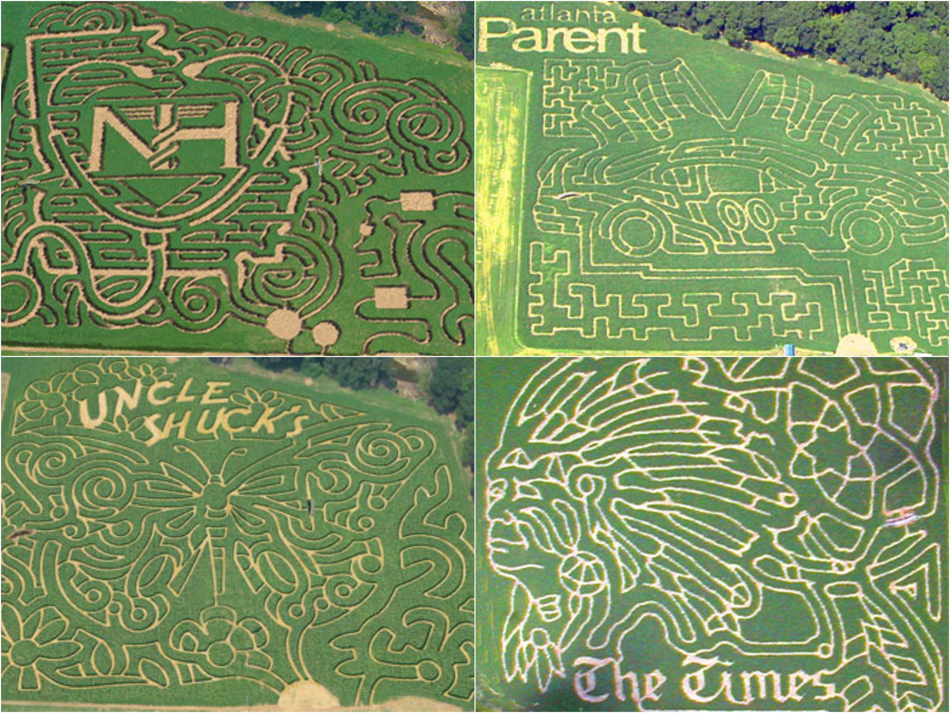 A Corn Maze Adventure in Illinois, Georgia and North Carolina 