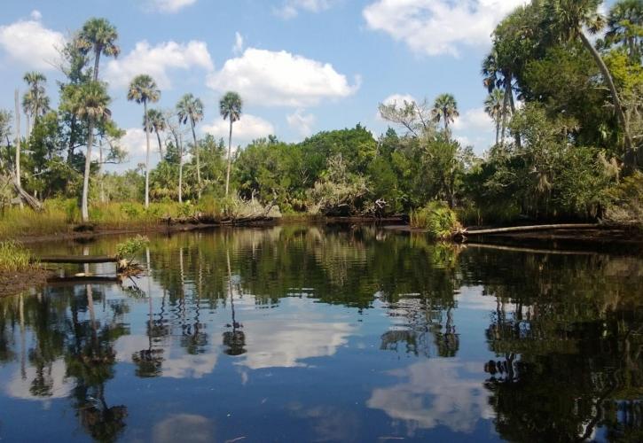 Econfina State Park is just one wilderness area to explore in Florida.