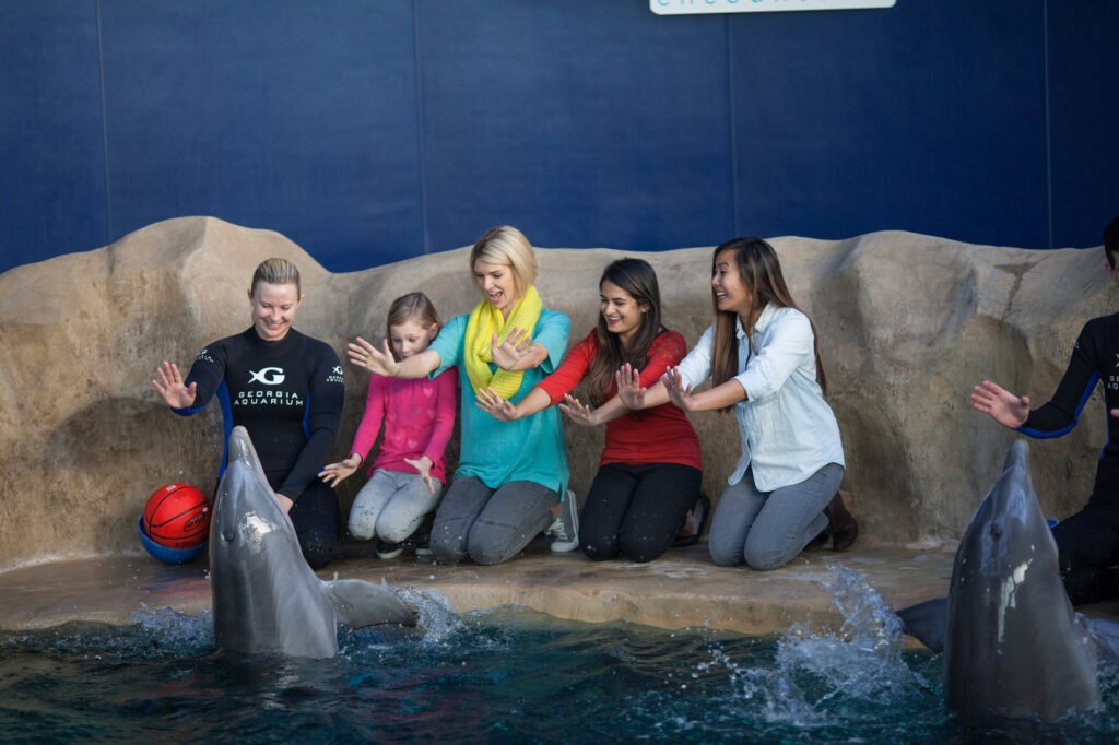 Encontro com golfinhos no Georgia Aquarium.