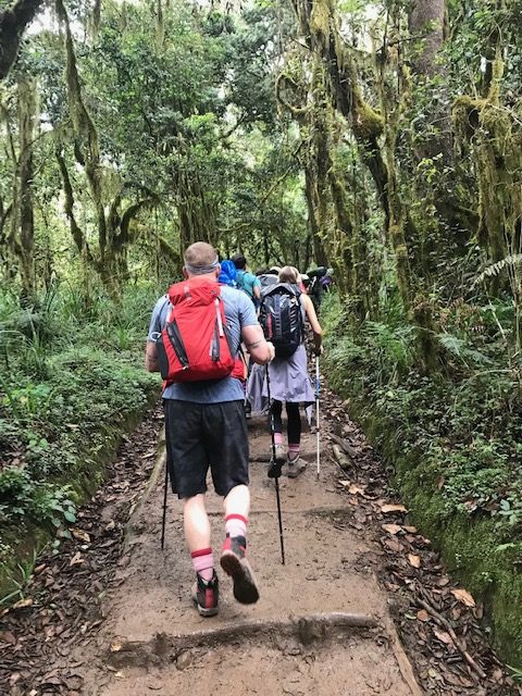 Preparatory hike in Moshi region of Tanzania.