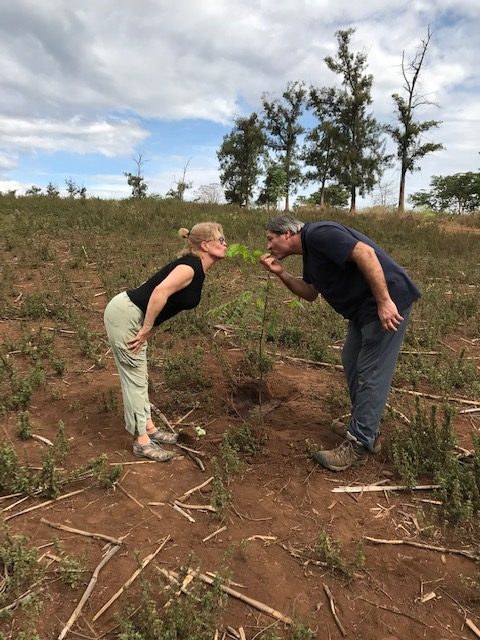 Kissing the tree shoots helps them grow.