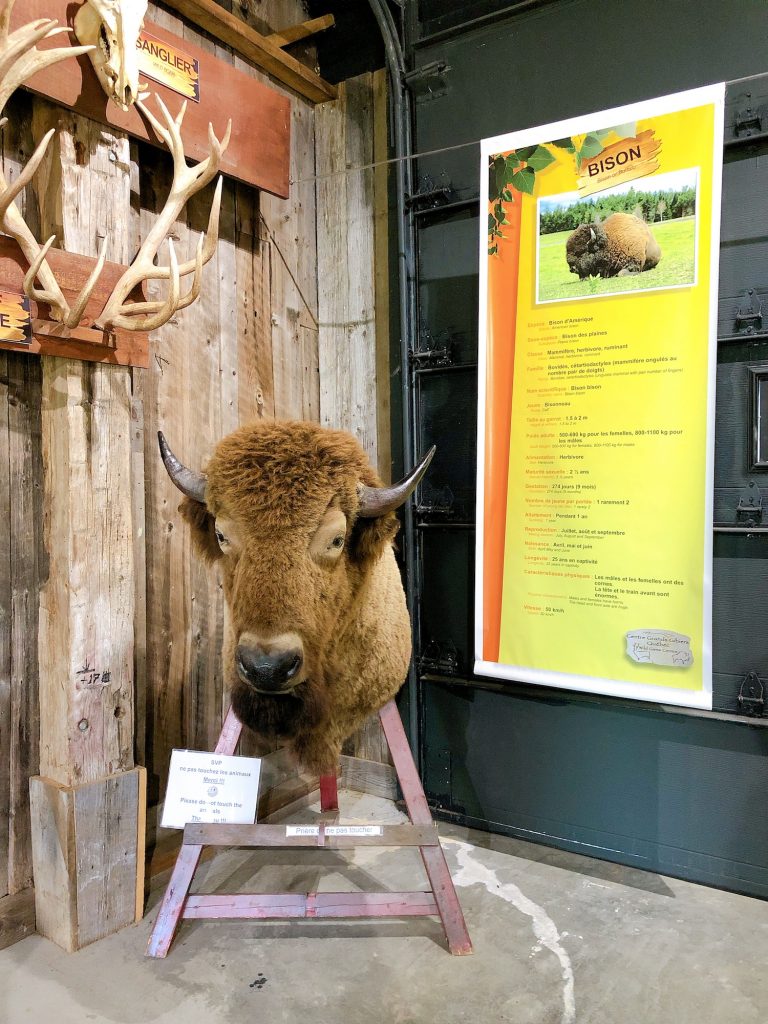 La Terre des Bisons Wild Game Center