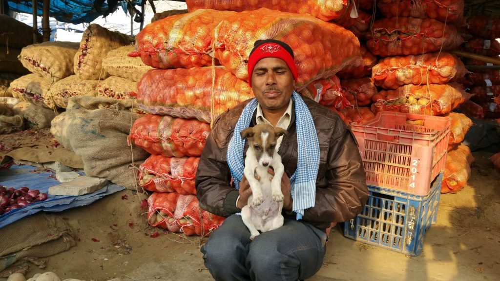An onion seller brings his puppy to the Agra Market.